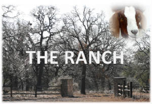 THERANCH.jpg